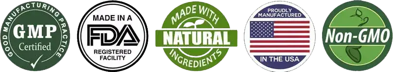 Synergex 7 Certification